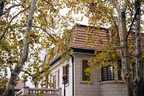 挪威著名主厨 Esben Holmboe Bang 即将在上海开设首家海外分店——EHB餐厅