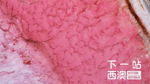 西澳旅游局正式启动“下一站西澳”宣传推广计划