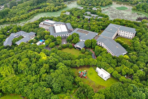 上海衡山北郊宾馆樱花季沉浸式赏樱下午茶