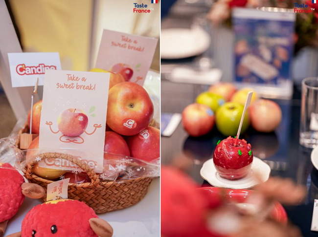 法国蓝鲸品牌开启深耕中国市场新篇章