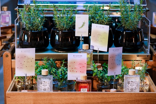 雅辰酒店集团与德熙蒸馏共同呈现一场融合东方草本与当代工艺的「雅辰聚 Artyzen Studio」体验活动